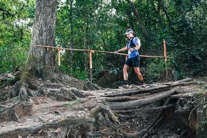 BIB: 
                            <button type="button" onclick="openModal(27808113)" class="btn btn-primary btn-sm float-right btn-popup" data-toggle="modal" data-target=".modal-high-quality">
                        <i class="fas fa-shopping-cart"></i> Add to Cart
                    </button>
                                            <button type="button" onclick="isThisMe(27808113, true)" class="btn btn-success btn-sm float-right btn-popup btn-isme hidden" data-toggle="tooltip" data-placement="bottom" title="นี่คือรูปของคุณใช่ไหม คลิกที่นี่เพื่อเอาเข้าอัลบั้ม">
                        <i class="fas fa-plus"></i> Add to album
                    </button>
                    <button type="button" onclick="isThisMe(27808113, false)" class="btn btn-warning btn-sm float-right btn-popup btn-isnotme hidden">
                        <i class="fas fa-ban"></i> Remove from album
                    </button>